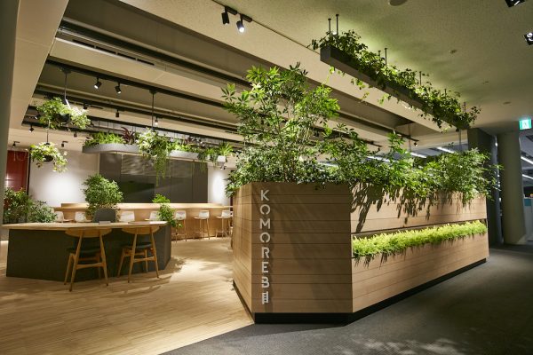 Xu hướng không gian xanh