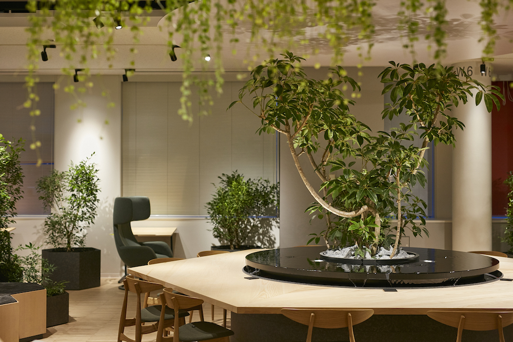 Xu hướng không gian xanh