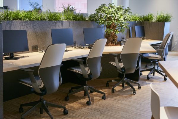 Xu hướng không gian xanh