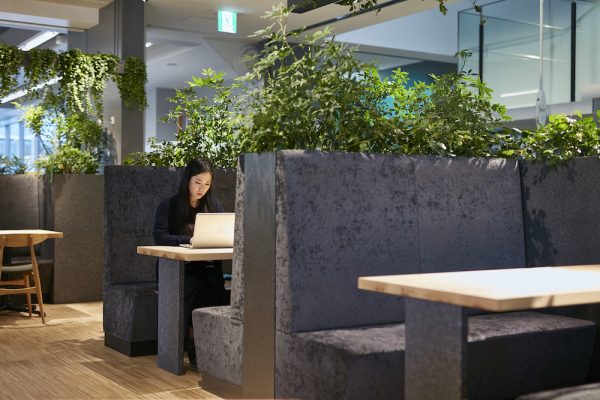 Xu hướng không gian xanh