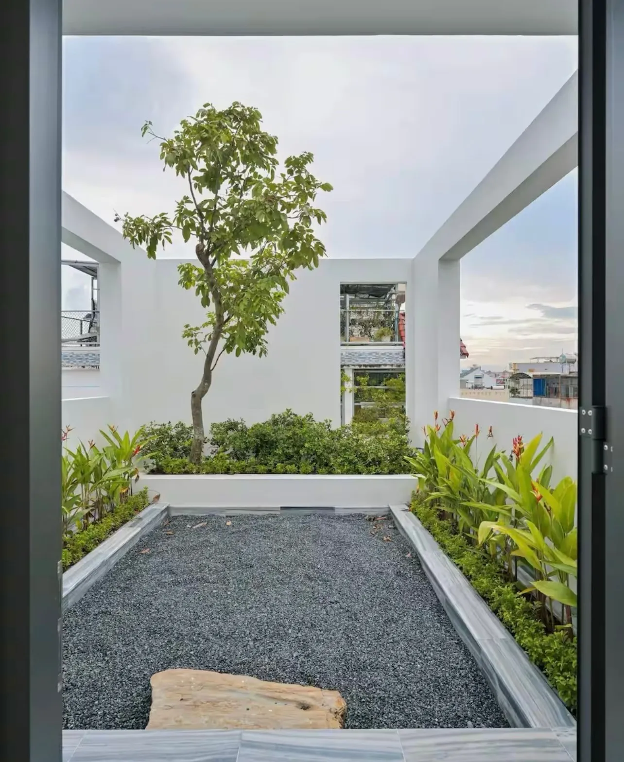 Cây lộc vừng tại sân thượng của thiết kế nhà phố 4 tầng với điểm nhấn giếng trời thoáng đãng