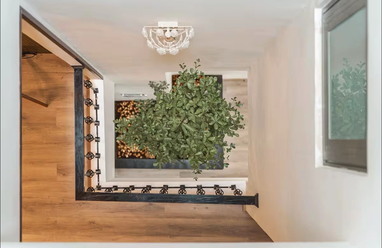 cay-xanh-lon-duoc-bo-tri-kheo-leo-ben-duoi-khu-vuc-cau-thang