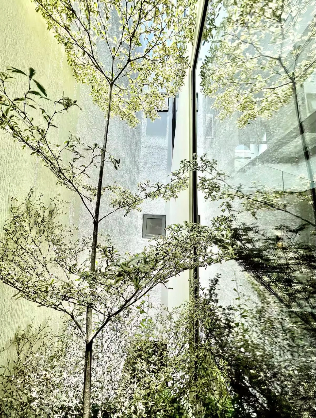 gieng-troi-giup-anh-sang-tu-nhien-tu-tren-cao-chieu-xuong-lam-sang-khong-gian-trong-nha