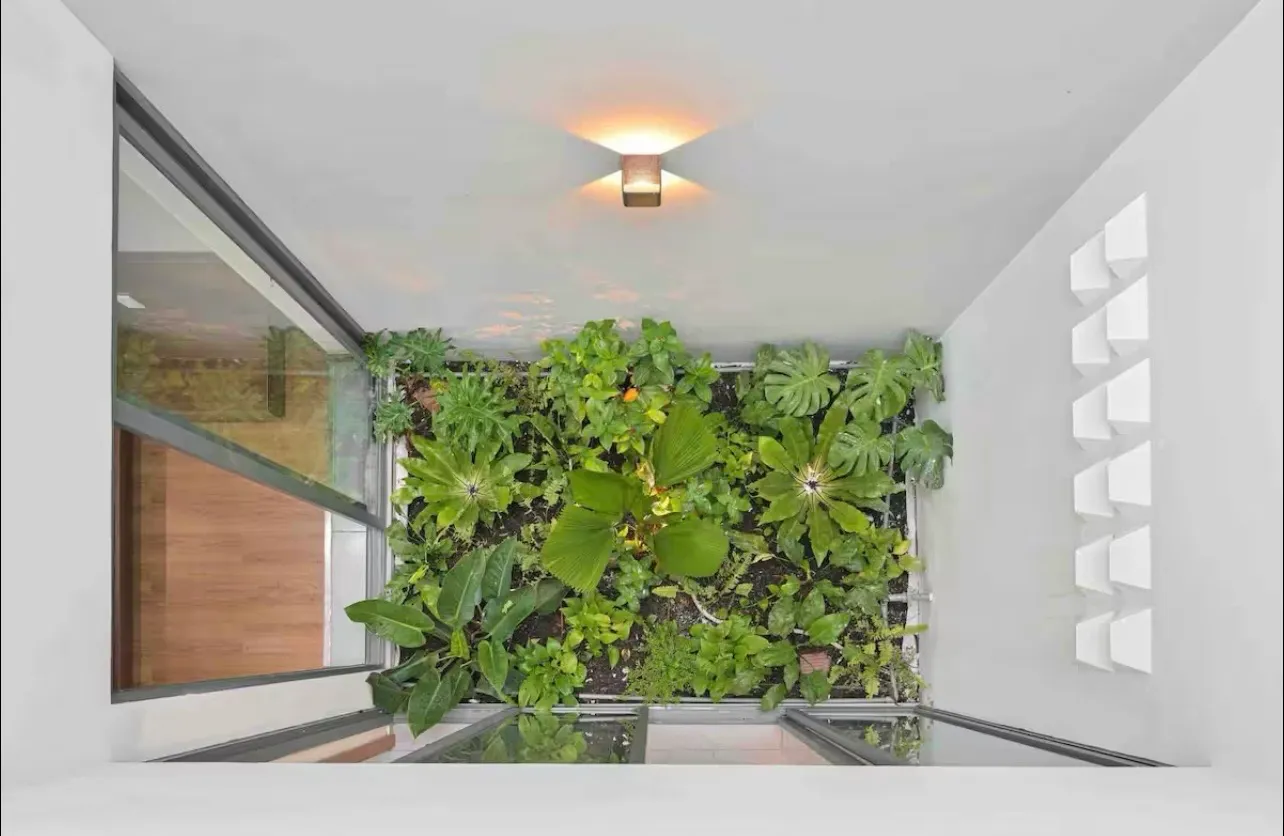 Cây xanh của giếng trời trong thiết kế nhà phố 4 tầng với điểm nhấn giếng trời thoáng đãng